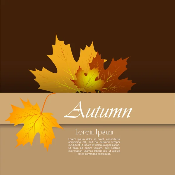 Barevné podzimní listy — Stockový vektor