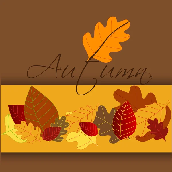 Colorful autumn leaves — Stock Vector