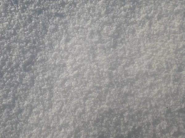 Sněhové Pozadí Čerstvě Padající Bílý Sníh Zemi Zblízka — Stock fotografie