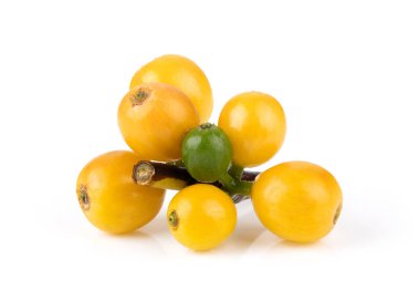 Beyaz arka planda izole edilmiş taze sarı kahve çekirdekleri