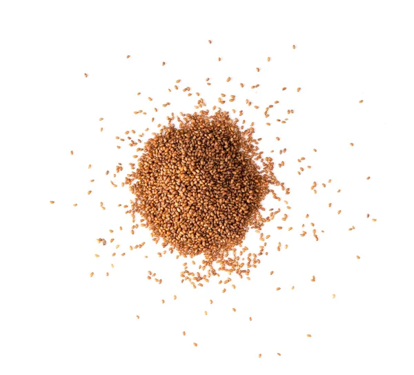 Brown Teff Grain — 스톡 사진