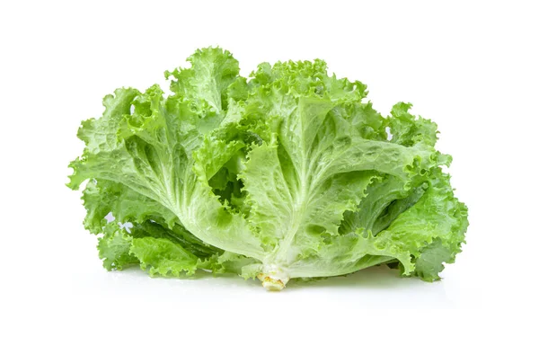 Feuilles Salade Laitue Verte Fraîche Isolées Sur Fond Blanc — Photo