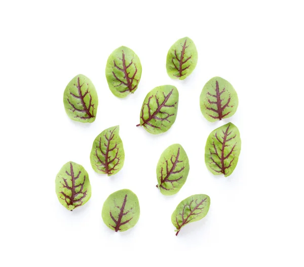 Red Sorrel Leaves Isolated White Background Top View — Φωτογραφία Αρχείου