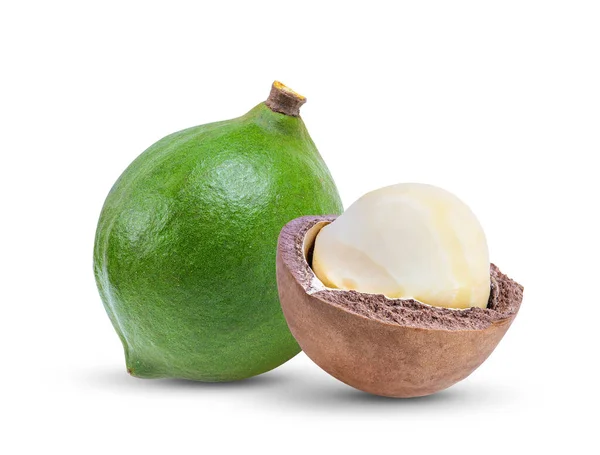 Macadamia Nüsse Mit Blatt Auf Weißem Hintergrund — Stockfoto