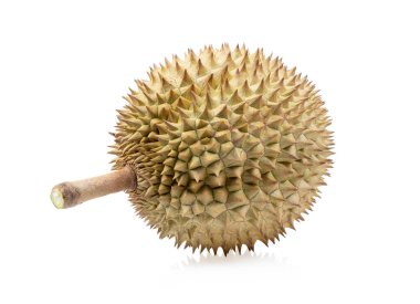 Durian beyaz arkaplanda izole edildi