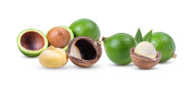Beyaz arka planda izole edilmiş Macadamia fındıkları