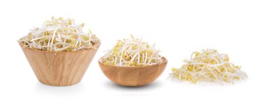 Beyaz arkaplanda fasulye filizleri izole