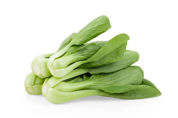 Bok Choy Zöldség Fehér Alapon — Stock Fotó