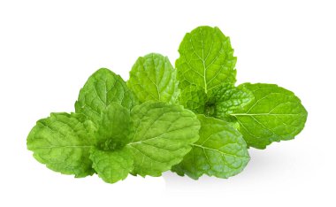 Beyaz arkaplanda izole edilmiş nane yaprakları