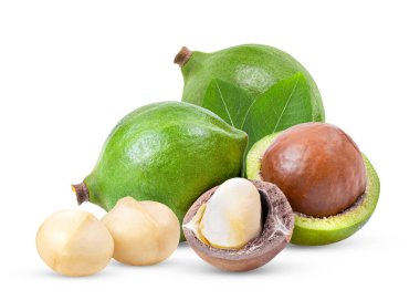 Beyaz arka planda yaprağı olan Macadamia fındıkları