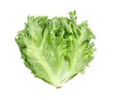 Beyaz arka planda taze fırfırlı buzdağı marulu