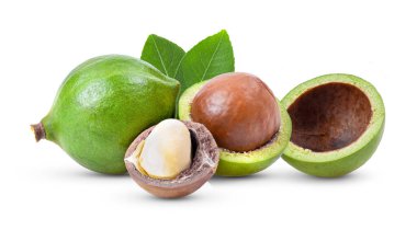 Beyaz arka planda yaprağı olan Macadamia fındıkları. 