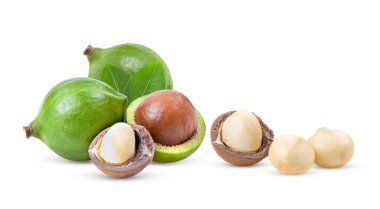 Beyaz zemin üzerinde yaprak izole edilmiş macadamia fındıkları (kamera görüntüsü )