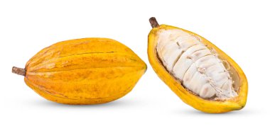 Beyaz arkaplanda izole edilmiş kakao meyvesi (kamera görüntüsü )