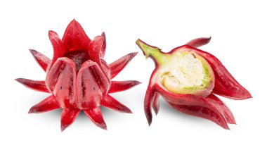 Beyaz arka planda taze Roselle amber çiçeği