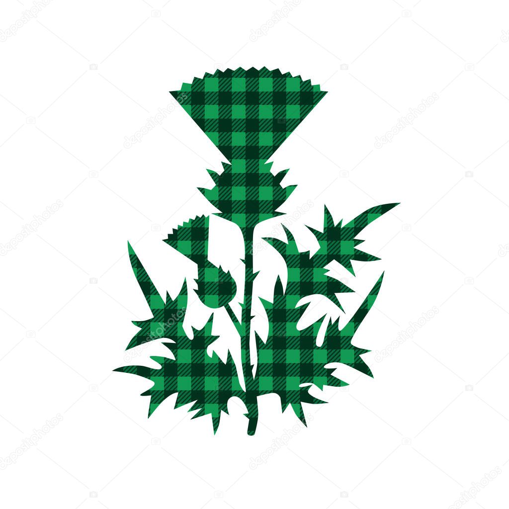 Checkered Green thistle  St. Patrick's Day colors. Symbol, icon, design element. Vector illustration on white background.