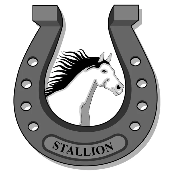 Caballo blanco-semental — Vector de stock