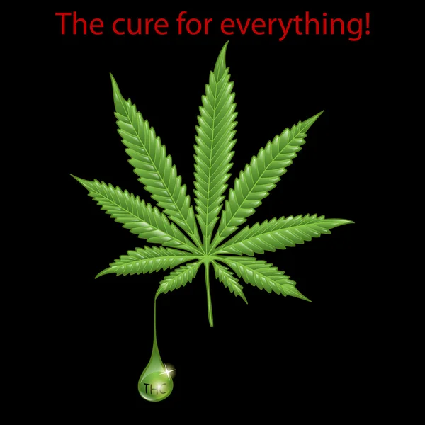 Marihuana yaprağı - Thc — Stok Vektör