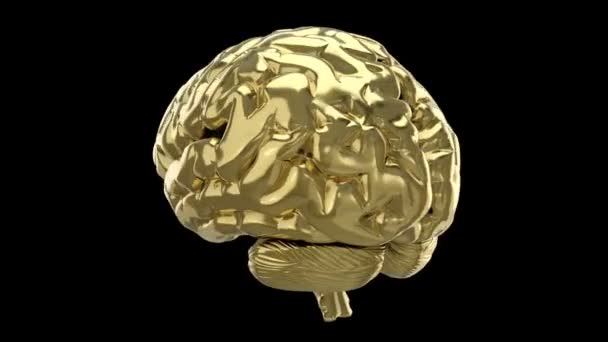 金色的大脑在黑色的背景上旋转 3D动画循环与阿尔法垫 — 图库视频影像