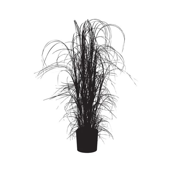Haus- und Büropflanze Chlorophytum Silhouette — Stockvektor