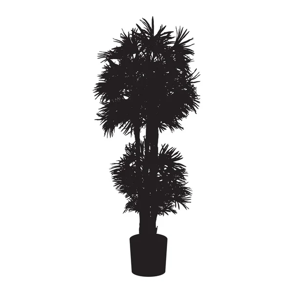 Büro und Haus pflanzen Palmensilhouette — Stockvektor