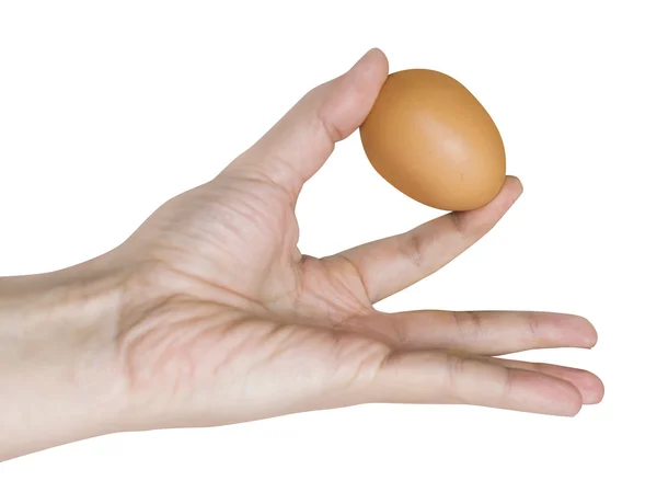 Huevo en la mano del hombre fondo blanco — Foto de Stock