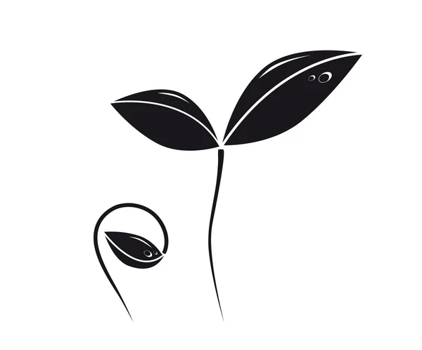 Wachsende Pflanzensilhouette — Stockvektor