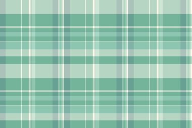 Kürklü tekstil ekoseli, davetiye şablonu denetleme vektörü. Yol dokusu tartan arkaplan kumaşı ışık ve pastel renk paletinde.