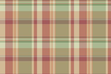 Şeffaf doku kontrolü, üst sınıf kumaş kumaş ekoseli. Pastel ve açık renk paletinde ince, pürüzsüz tekstil tartan..