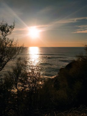 Gölgeli sahil bitkilerinin çerçevelediği sakin okyanus dalgaları üzerinde altın gün batımı. Barışı, yansımayı, doğal güzelliği çağrıştırıyor. Seyahat, doğa, refah temaları için ideal.