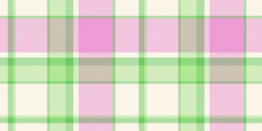 Köpek dişi vektörü kusursuz, erkek desenli tartan kontrolü. Bahar dokusu, deniz kabuğunda ekose kumaş ve yeşil renk paleti.