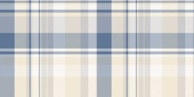 Ekose kumaş dokuma, basitlik vektör dokusu kontrolü. Kadın arkaplan kumaşı deseni ışık ve beyaz renk paletinde pürüzsüz.