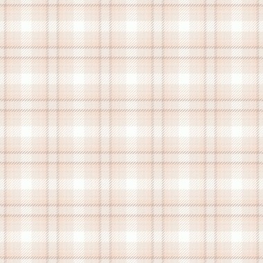 Preppy desenli kumaş, perakende kumaş, dikdörtgen arka plan. Kültürel tekstil denetimi vektör ekoseli beyaz ve açık renk paleti.