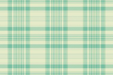 Erkeksi özgeçmiş kontrolü, insan dokusu desenli tartan yok. Cübbe ekose kumaş kumaş ışık ve nane rengi palet.