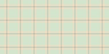 Asillik desenli tartan ekose, dekoratif doku vektör arkaplanı. Damarsız tekstil kontrol kumaşı ışık ve pastel renk paleti.