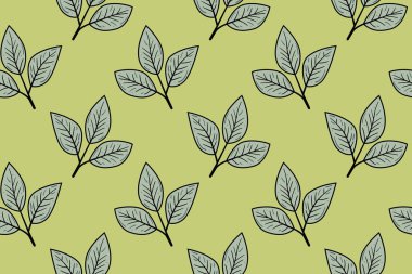 Sessiz yeşil arka planda biçimlendirilmiş yaprakların zarif, pürüzsüz deseni.