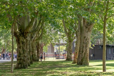 Koblenz, Almanya - 1 Ağustos 2020: Yazın şehir parkında Grove Yolu