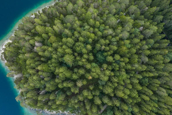 Aerial overhead drone shot of pathway through forests by Eibseelake in Germany summer — Foto de Stock