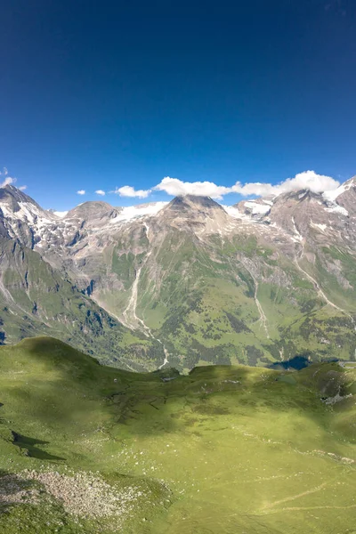 オーストリアのGrosglockner山脈の景色を持つ牧草地で聞いた牛の空中ドローンショット — ストック写真