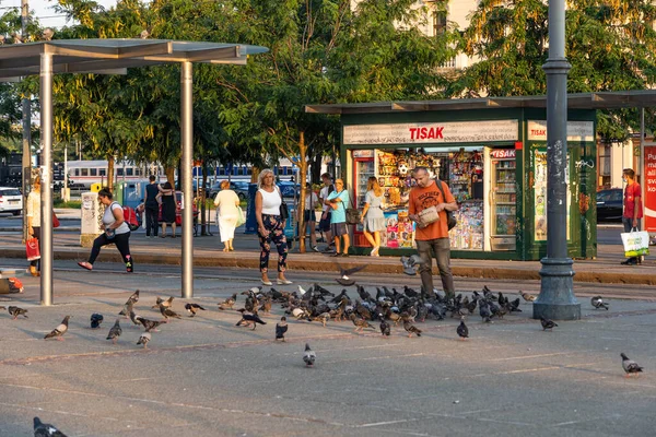 Zagreb, Croácia - 10 de agosto de 2020: Pedestres alimentam pegiões na praça da cidade de Glavni Kolodvor durante a hora do pôr do sol — Fotografia de Stock