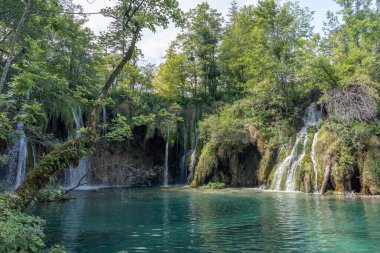 Plitvice, Hırvatistan - 11 Ağustos 2020: Yazın göl bölgesinde çağlayan şelale