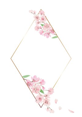 Kiraz çiçeği suluboya çerçeve bahar çizimi