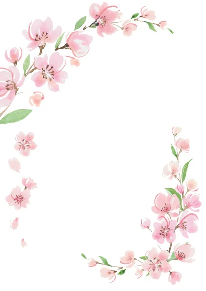 Körsbärsblomma Akvarell Ram Fjäder Illustration — Stockfoto