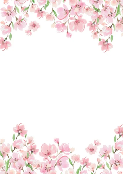 Kirschblüte Aquarell Rahmen Frühling Illustration — Stockfoto