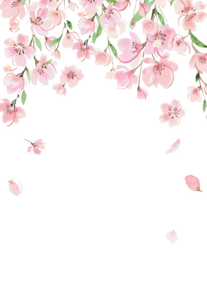 Kiraz Çiçeği Suluboya Çerçeve Bahar Çizimi — Stok fotoğraf