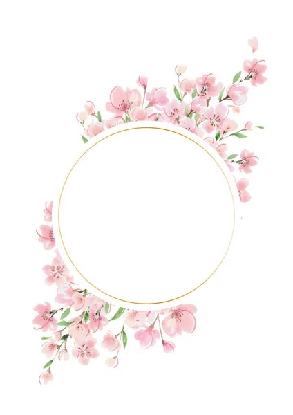 Körsbärsblomma Akvarell Ram Fjäder Illustration — Stockfoto