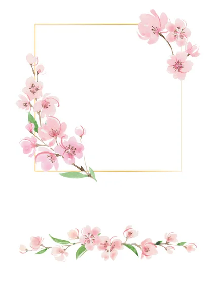Wiśnia Kwiat Akwarela Ramka Wiosna Ilustracja — Zdjęcie stockowe