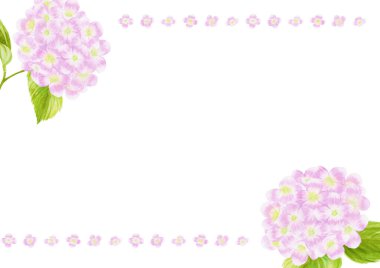 Pembe ortanca suluboya resimleme