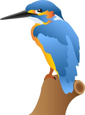 Ağaçtaki Kingfisher Kuşu. Çizim, tasarım elementleri. Mavi kanatlı bir kuş ve uzun siyah gagalı turuncu bir vücut..