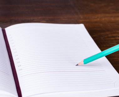 Kalem defter günlüğüne yazmak.